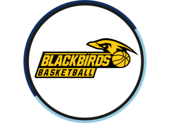 Güssing/Jennersdorf Blackbirds Logo
