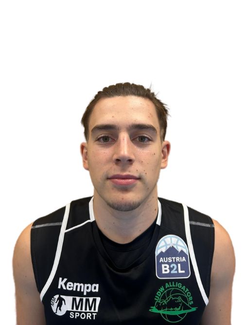 Din Halilagic